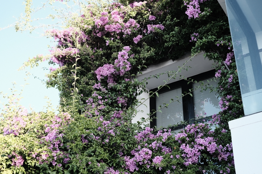 2 Bedroom Property for Sale in Fresnaye Western Cape